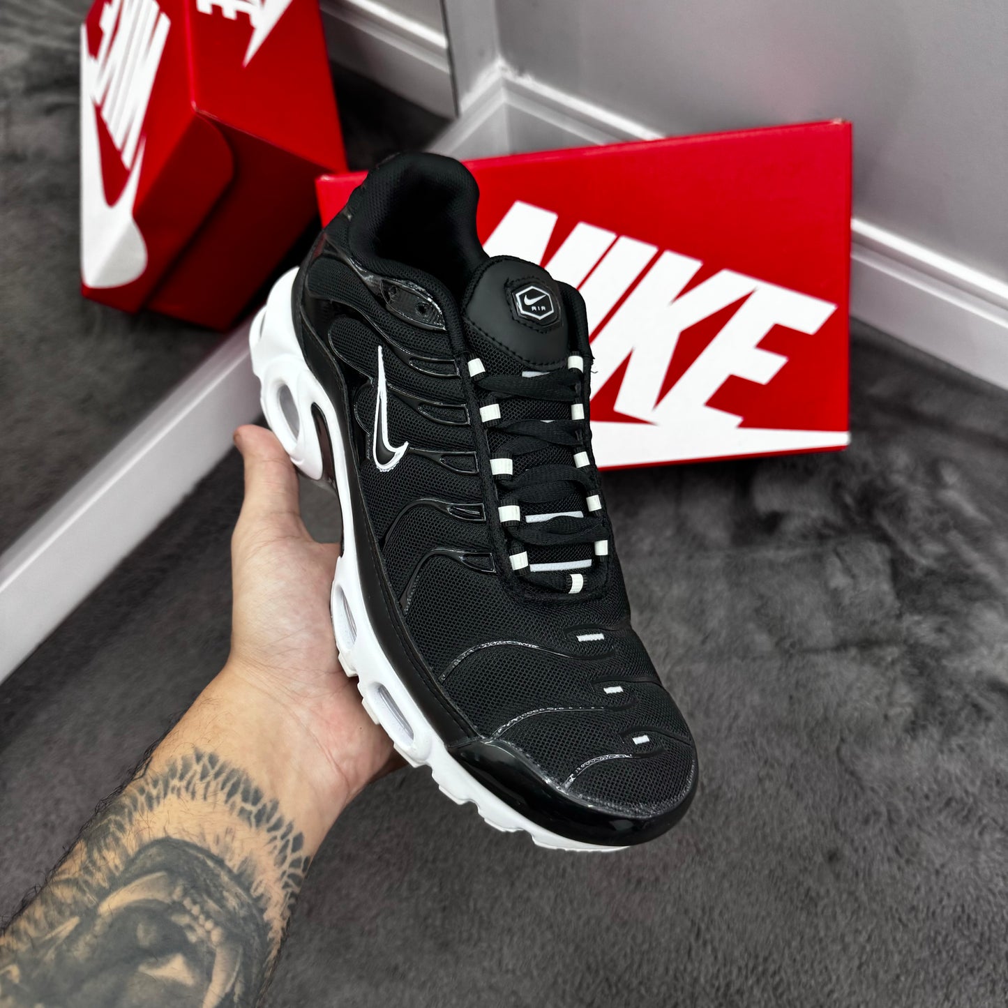 TN Black White 1