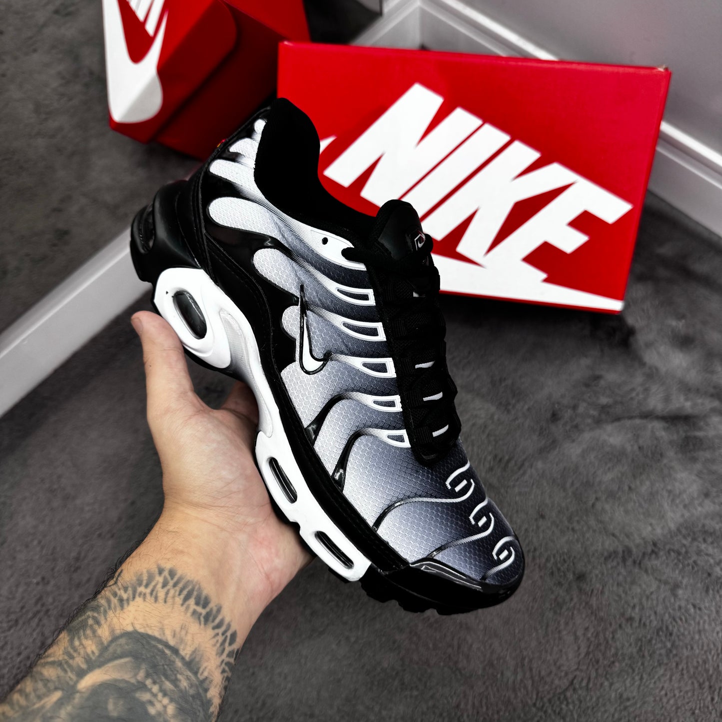 TN Black White