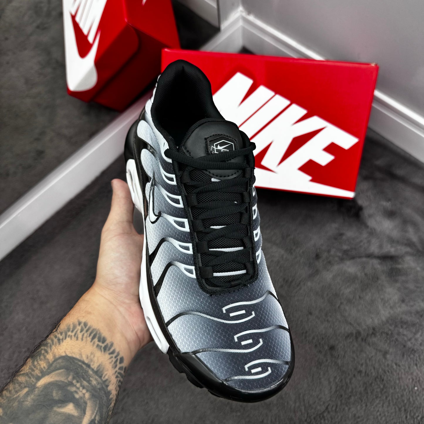 TN Black White